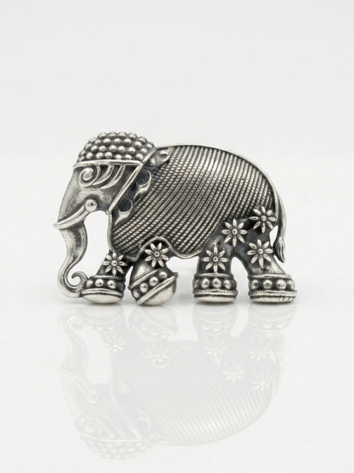 Anillo Kunj