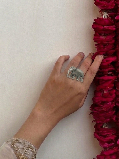 Anillo Kunj — foto 2