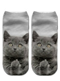 Calcetines de gatos